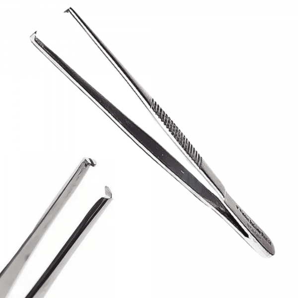 PINCA ANATOMICA DENTE DE RATO