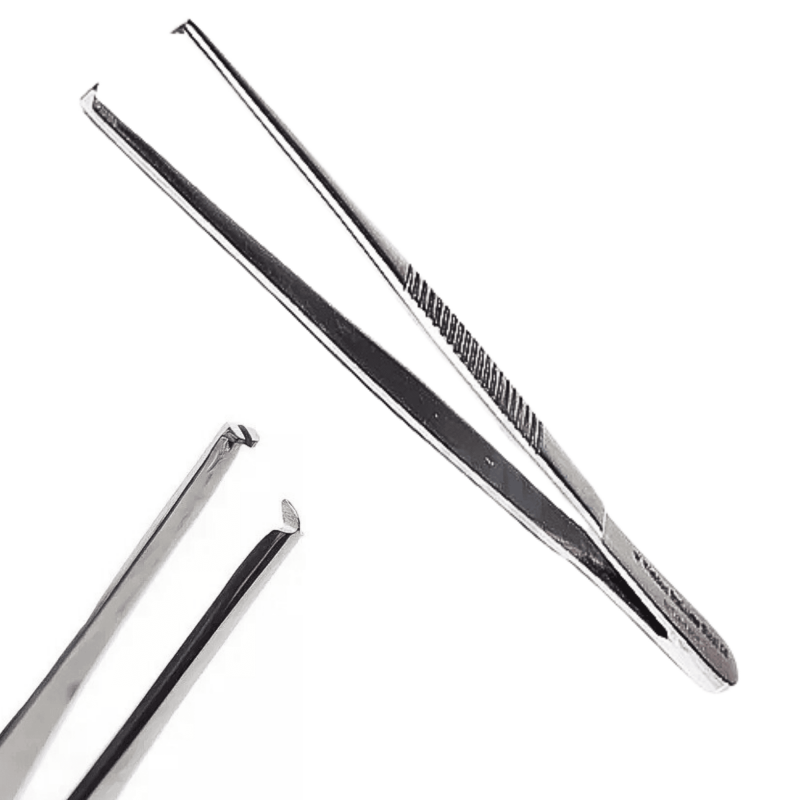 PINCA ANATOMICA DENTE DE RATO