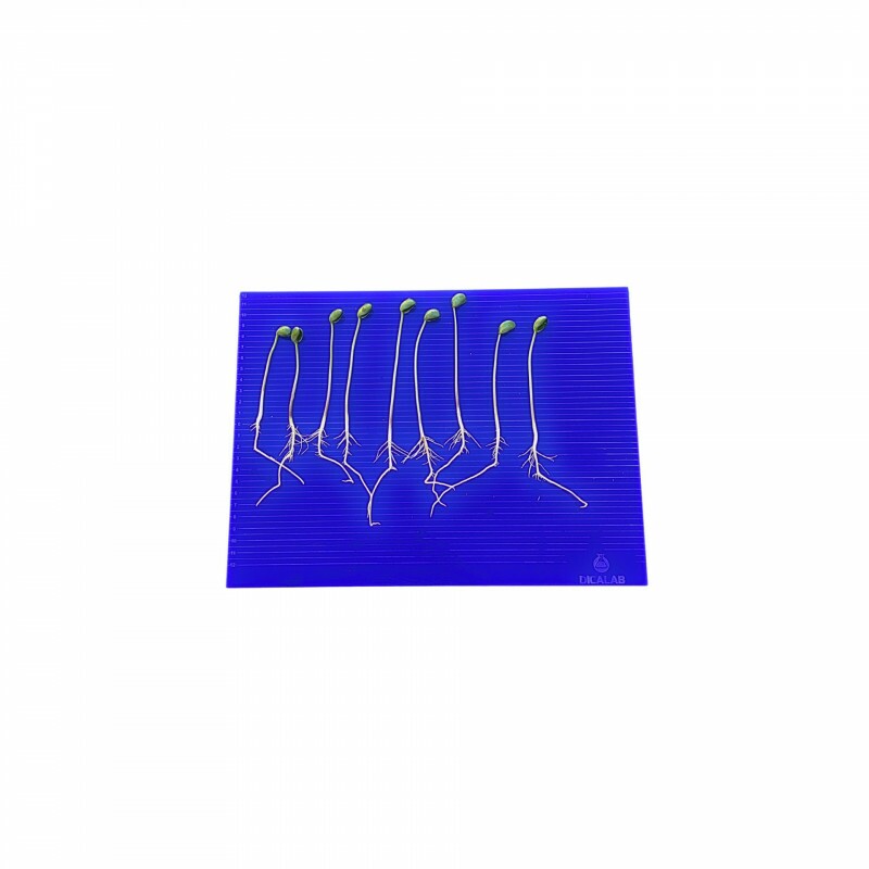 PLACA PARA AFERICAO DO TAMANHO DA RAIZ 35 CM