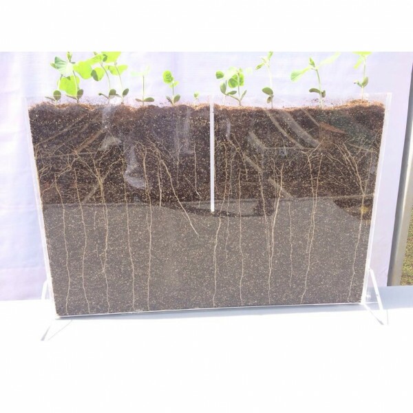 RIZOTRON 50CM X 9CM X 35CM - COM SUPORTE