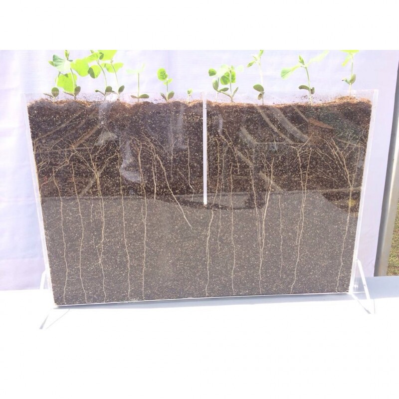 RIZOTRON 50CM X 9CM X 35CM - COM SUPORTE